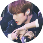 양지윤 profile image