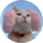 믽ㄴ애옹 profile image