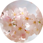 o공듀님o profile image