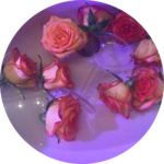 jh4304197 profile image