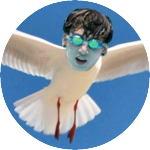 다음생에는민윤기돌옆에있는돌로태어날래 profile image