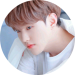 뚱햄찌's profile image