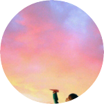 솔곤 profile image