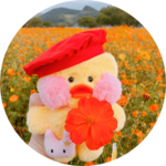 뚱시뚱시수박먹쟈 profile image