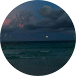 두부작가 profile image