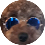 쿄쿄캬캬 profile image