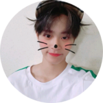 만두인형 profile image