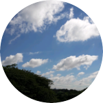 구름위의산책990 profile image