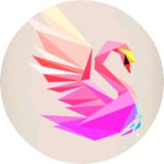 댁조 profile image