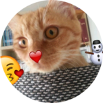 훈이눈팅이 profile image