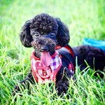 tobenpark profile image