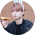 캐럿여누 profile image