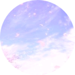 캐럿과엑소엘 profile image