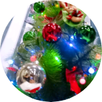 인공주 profile image