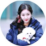 여띤비글 profile image