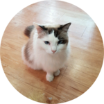 라봄부계 profile image