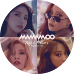 솔라는용또니 profile image