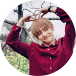 초영사쿠라 profile image