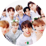 너블이담비씌 profile image