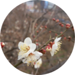 유링작가 profile image
