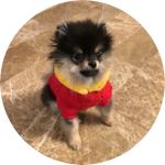 김연탄씨 profile image