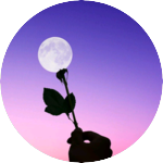 ☆할리퀸포카 profile image