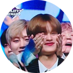 요정나라휘샤인요정 profile image