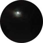 눈알 profile image