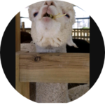 여파카 profile image