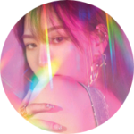 양말YANGMAL profile image