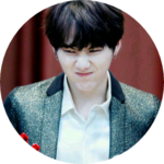 보라보라도리도리 profile image