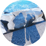 닁네 profile image