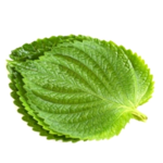 ☆RM의깻잎파괴력 profile image