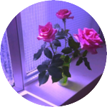 Barley profile image