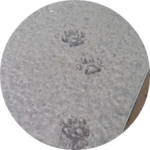 반달보다보름달 profile image