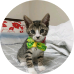 빛나는빛나 profile image