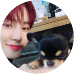 하랑해 profile image