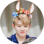 뾰님 profile image