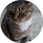 sarah44645900 profile image