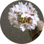 cyr20100308 profile image