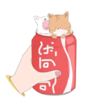 추례 profile image