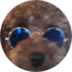 두둠치칫 profile image