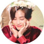 못말리는캐럿아미 profile image