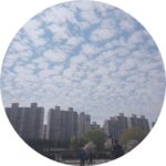 비비7 profile image