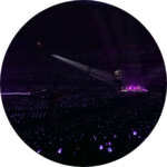 보라햇밥 profile image