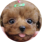 백성 profile image