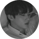 센치한석진이 profile image