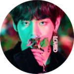 싱귤탱귤 profile image