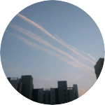 ☆볼빨간사과 profile image