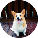 blackmonkey profile image